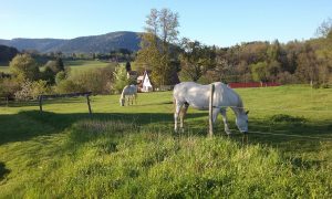 Chambre B&B Saulxures - Alsace