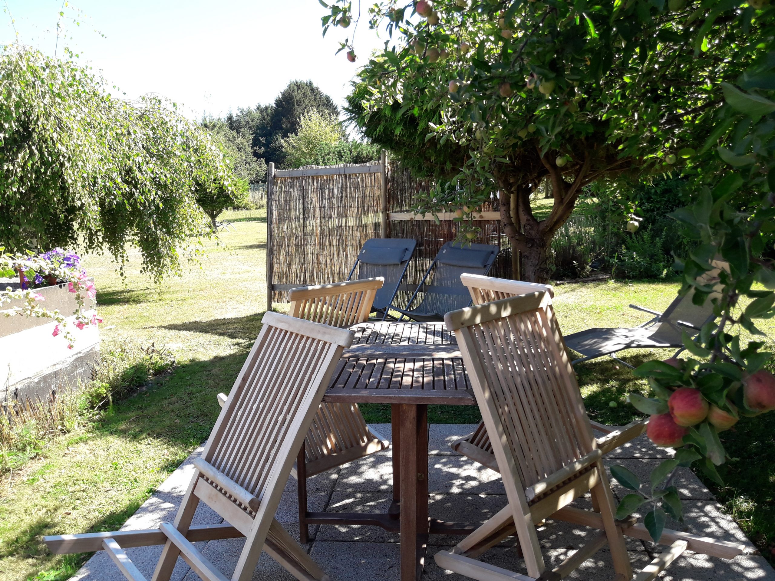 espace privatif extérieur - Gite Alsace